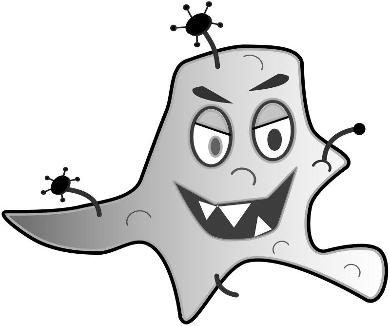 Embryo - Cartoon Germ Png Clipart (800x668), Png Download