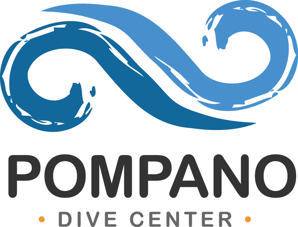 July 4th Dive, Eat, And Watch Fireworks Extravaganza Clipart (1000x762), Png Download