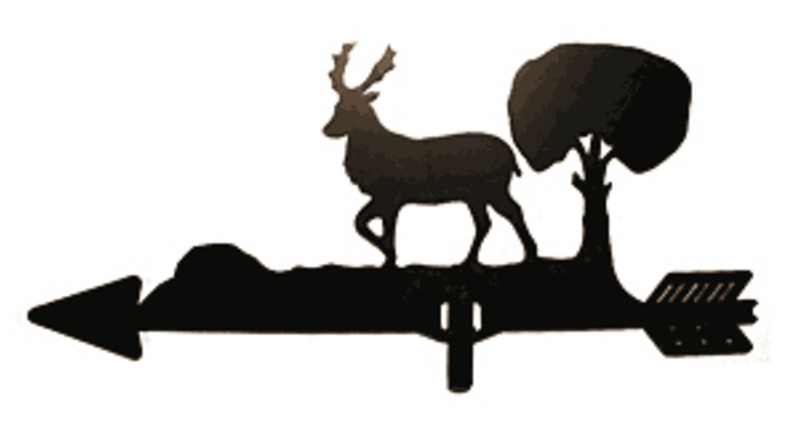 Reindeer Clipart (800x600), Png Download