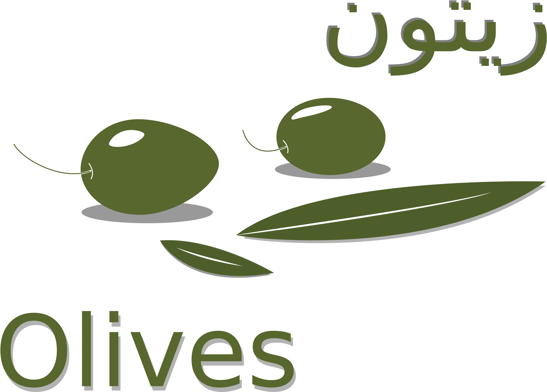 Big Image - Olive زيتون Clipart (2400x1697), Png Download