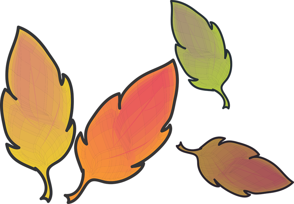 낙엽 무료 일러스트 Clipart (960x666), Png Download