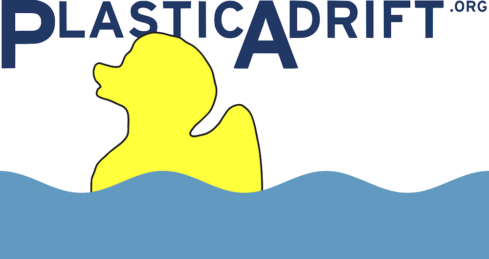 Erik Van Sebille, Oceanographer And Climate Scientist - Duck Clipart (1000x529), Png Download