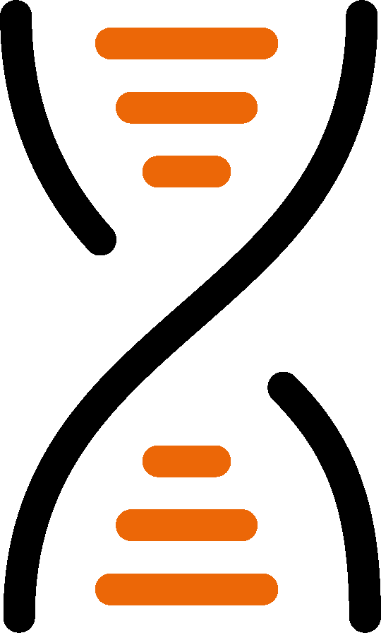 Activities Clipart (540x895), Png Download