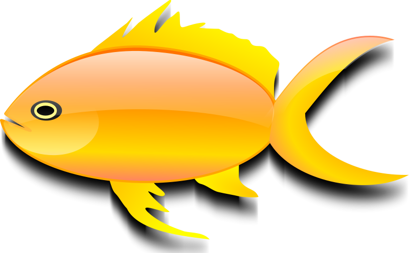 Free Pez Dorado - Gold Fish Clip Art - Png Download (800x496), Png Download