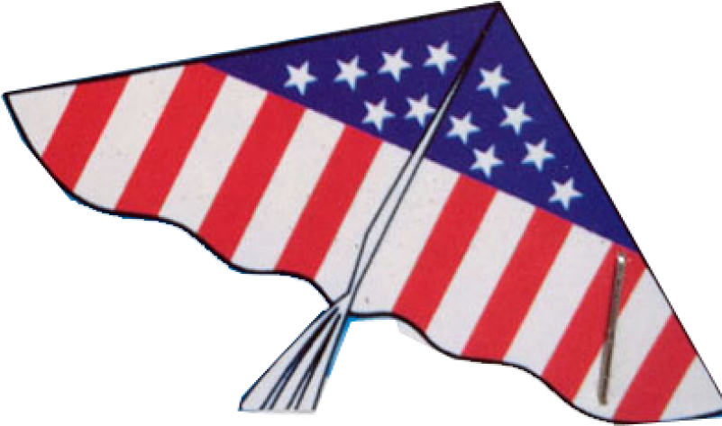 Flag Of The United States Clipart (800x800), Png Download
