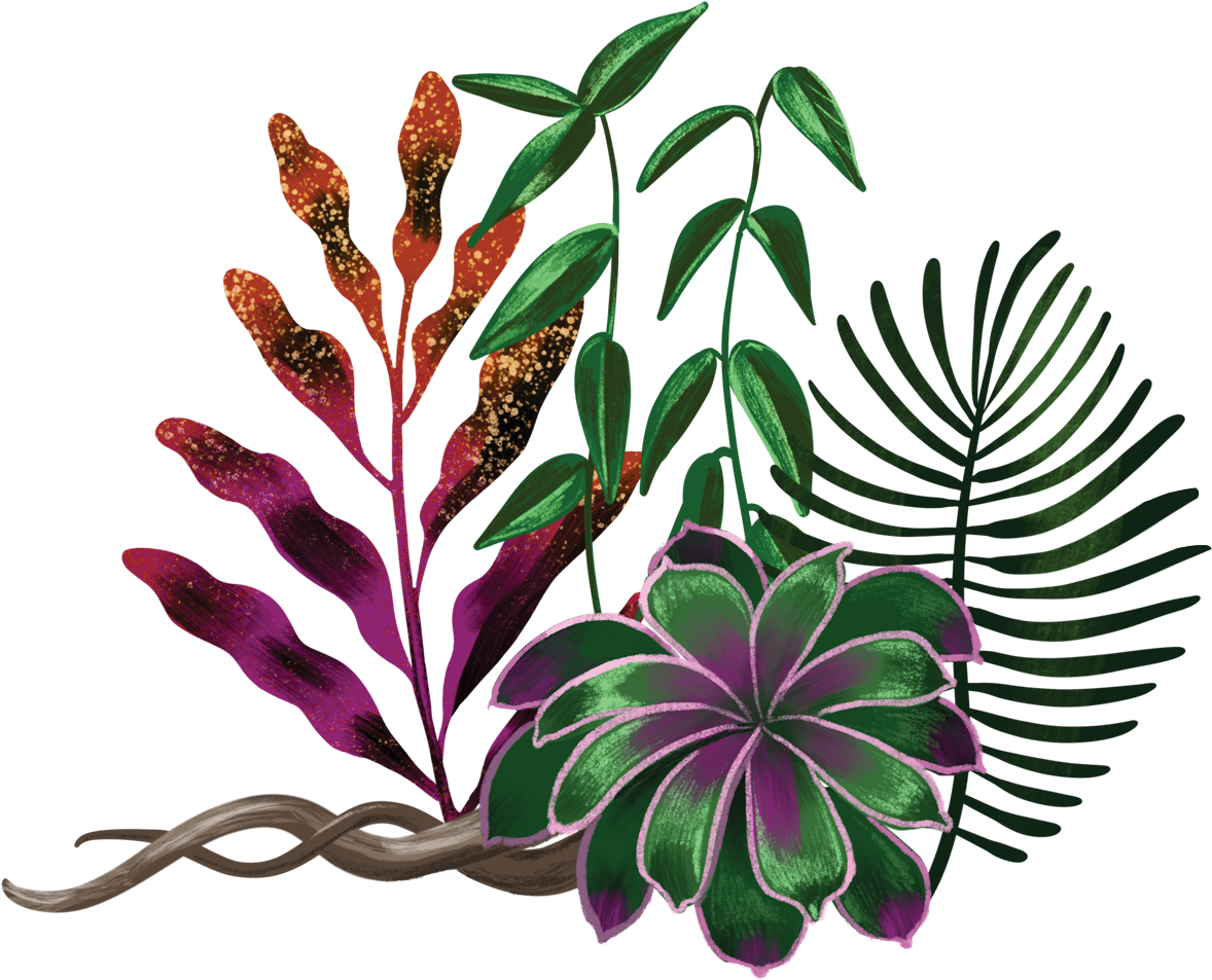 The Heart Of Whiteness Plant Illustration By Shyama - Plants Illustration Png Clipart (1200x978), Png Download