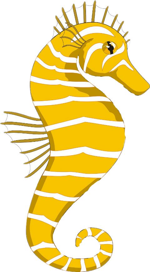 Seahorse Clipart Gif - Png Download (480x869), Png Download