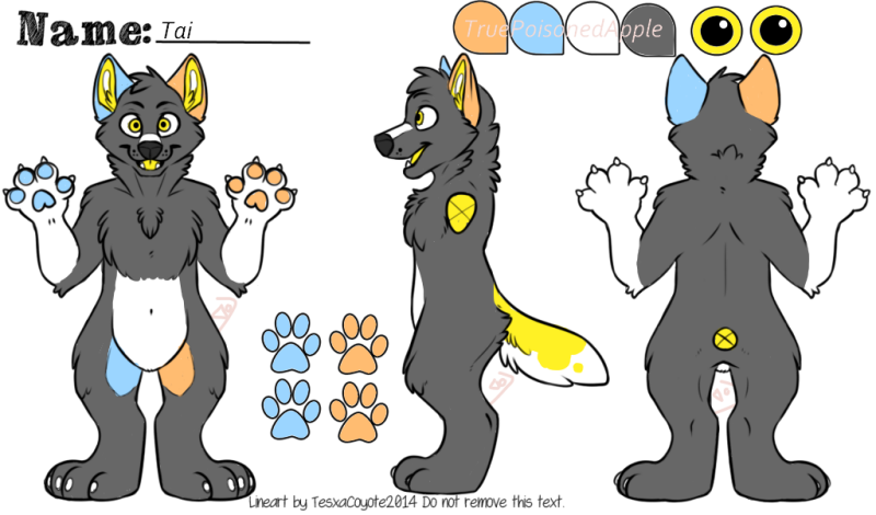 Tai By Truepoisonedapple - Wolf Fursona Reference Sheet Clipart (800x470), Png Download