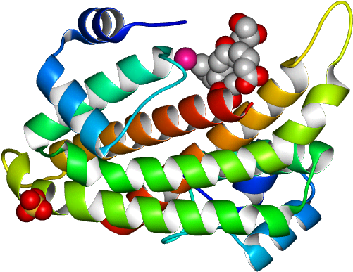 Database Information - Illustration Clipart (768x768), Png Download