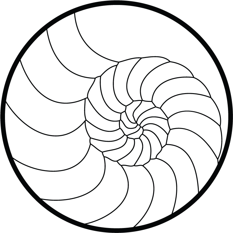 Printable Stained Glass Dove Patterns Sketch Coloring - Golden Ratio Clipart (750x754), Png Download