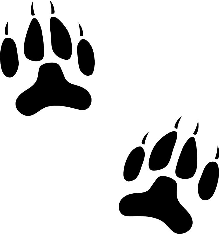 Clipart Footprint - Paw - Png Download (749x800), Png Download