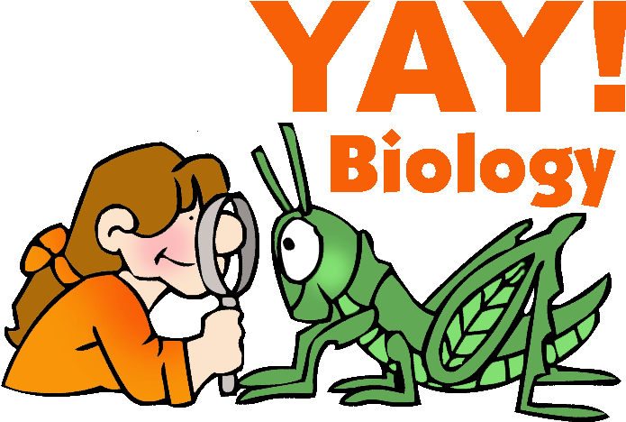 Biology Mitosis Aa Classroom Clip Art Library - Animal Science Clip Art - Png Download (711x508), Png Download