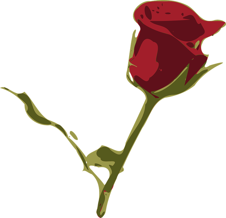 Rosa Flower Cliparts 24, Buy Clip Art - Flores Desenho Rosa Vermelha - Png Download (747x720), Png Download