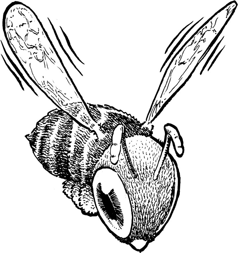 Clip Art Black And White Stock Autism Drawing Book - David Nytra - Png Download (1007x1019), Png Download