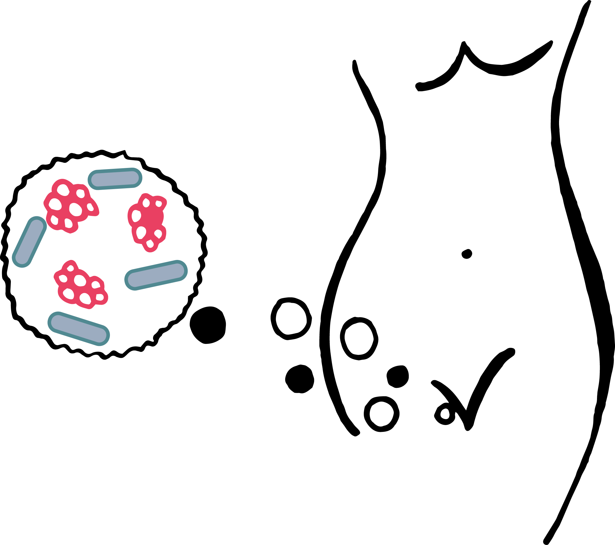 A Study By Schwiertz Et Al Clipart (2154x1908), Png Download