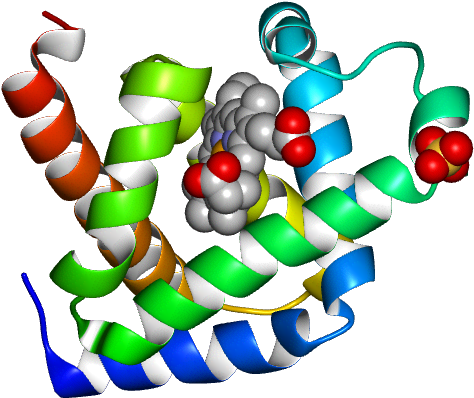 No Rotation Molmil Generated Image Of 1ymb - Ten-pin Bowling Clipart (768x768), Png Download