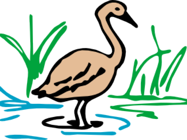 Original - Clip Art Photo Download - Png Download (640x480), Png Download