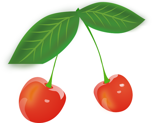 Cherry, Fruits, Red, Berries, Leaves - Png Cartoon Cherries Clipart (640x525), Png Download