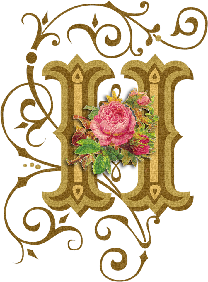 Letter - H - Fancy Letter H Clipart - Png Download (822x1024), Png Download