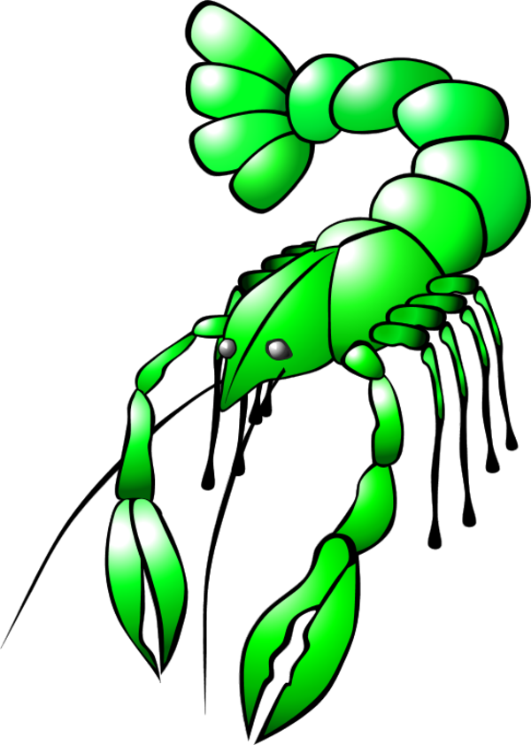 Vector Clip Art - Crawfish Clip Art - Png Download (600x842), Png Download