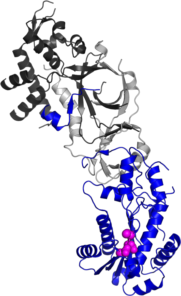 3puf Highlight Subunit A - Aicardi Syndrome Clipart (800x1200), Png Download