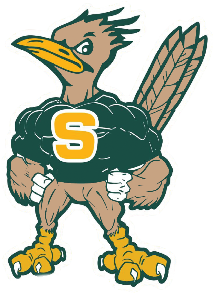 Saddleback-mascot - Saddleback High School Roadrunners Clipart (791x1024), Png Download