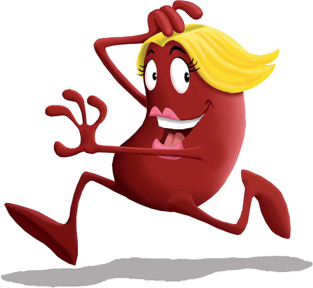 Kidney Happy - Happy Kidney Clipart (1146x1146), Png Download