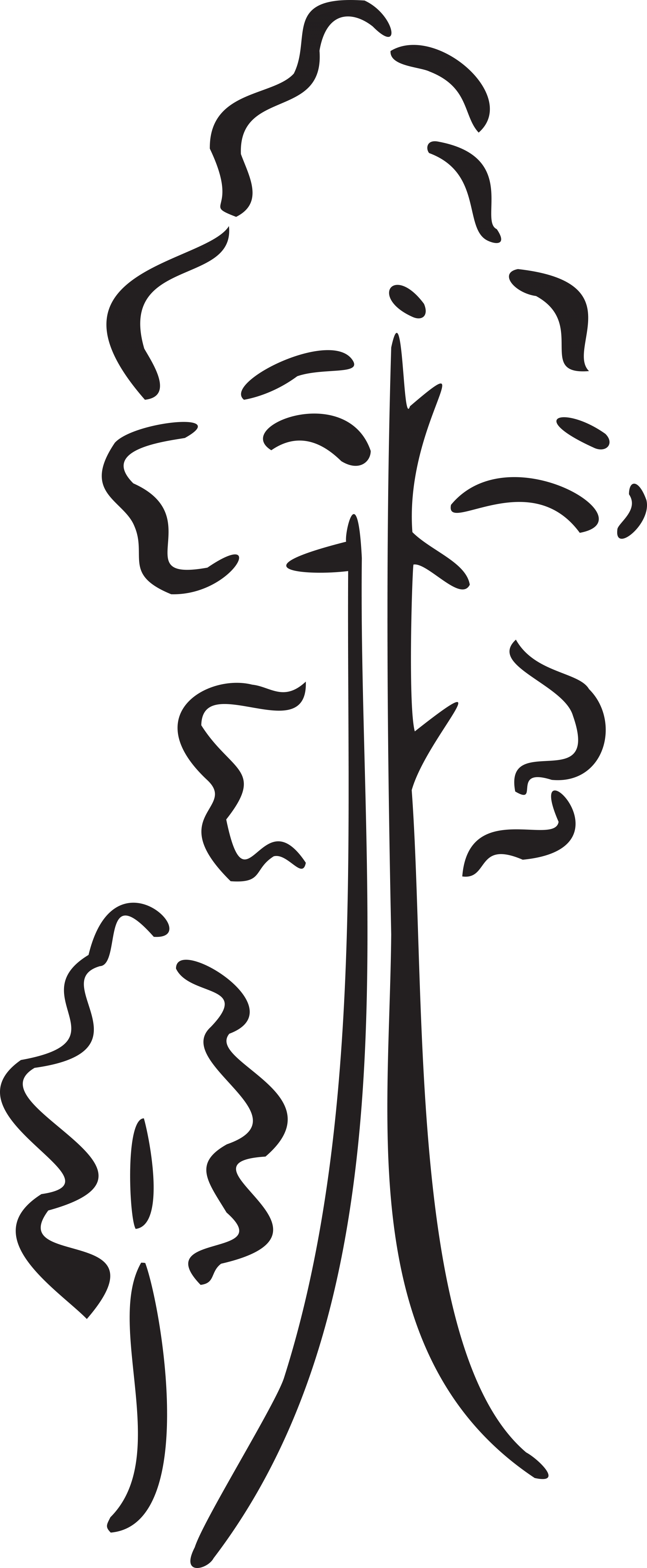 Trees-e1494856844675 - - Trees Clip Art - Png Download (2000x4849), Png Download