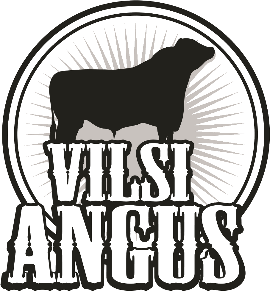 Aberdeen Angus Breeding Stock - Dog Clipart (979x1021), Png Download