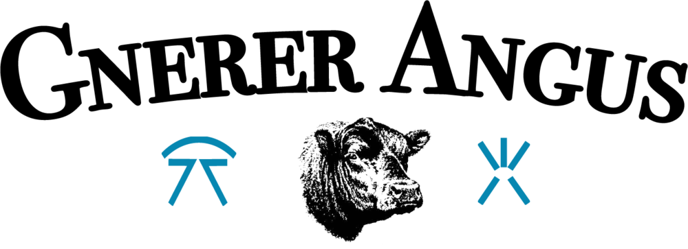 Gnererlogotrans Format=1500w Clipart (1000x363), Png Download