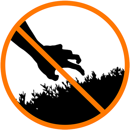 Quinci Baker Is A Recent Graduate Of The Cooper Union - Graphic Design Clipart (622x543), Png Download