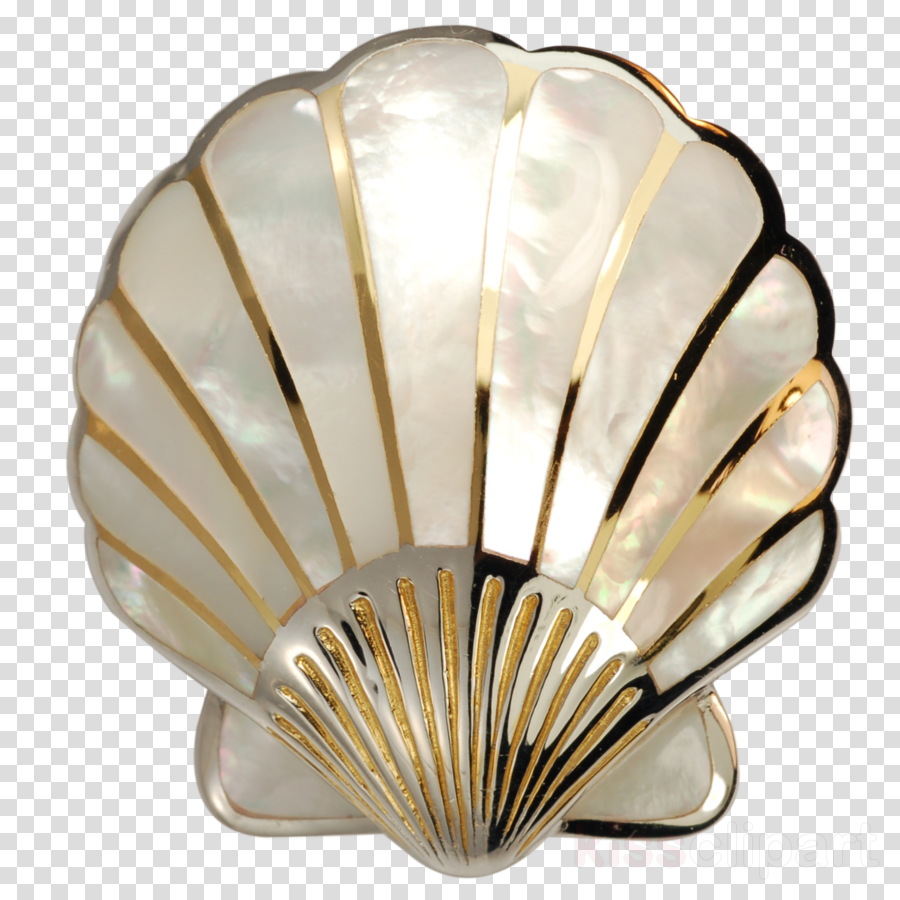 Download Mother Of Pearl Png Clipart Pearl Nacre Seashell - Hoffman Lake Mesh Cap Transparent Png (900x900), Png Download