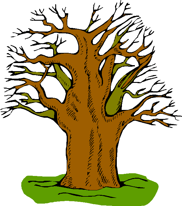 Great American Smokeout American Cancer Society - Tree Adjectives Clipart (613x695), Png Download