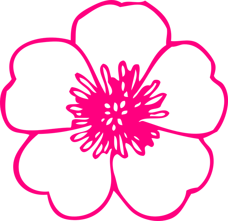 Blossom Flower Cliparts 8, Buy Clip Art - Coloring Picture Of Flower - Png Download (742x720), Png Download