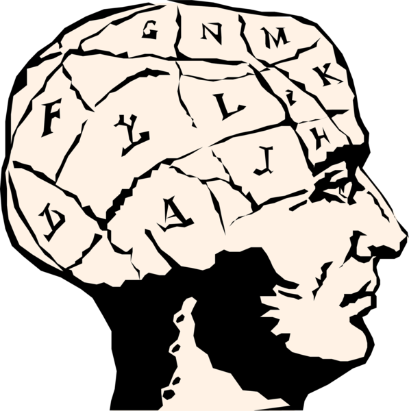 Brain-mind - Clipart (597x600), Png Download
