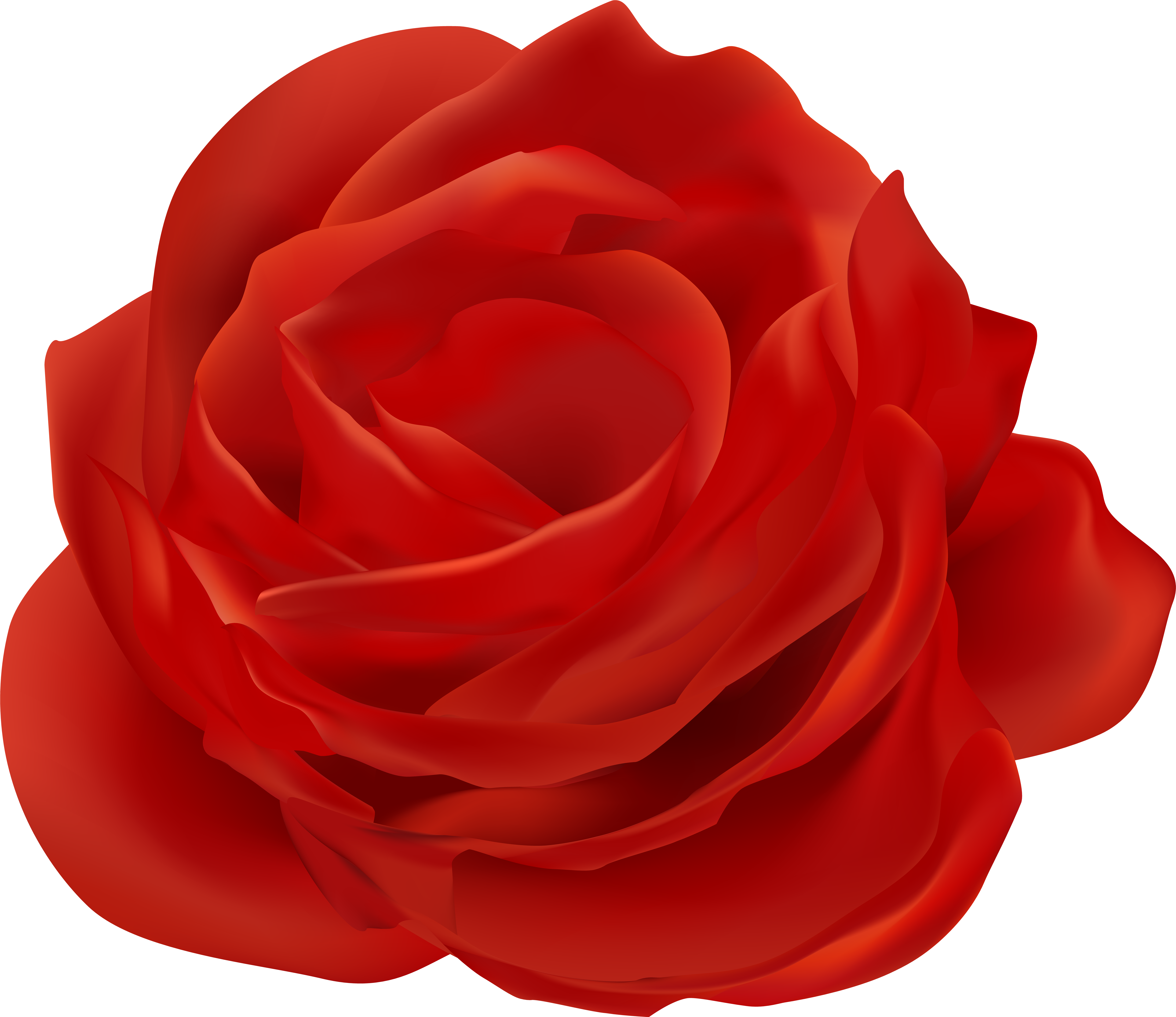 Petals Clipart - Png Download (8000x6928), Png Download