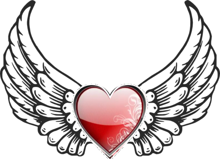 Report Abuse - Angel Wings Clipart (750x544), Png Download