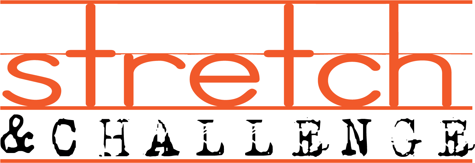 Stretch And Challenge In Your Classroom Seced - Dilligaf Mug Clipart (1646x672), Png Download