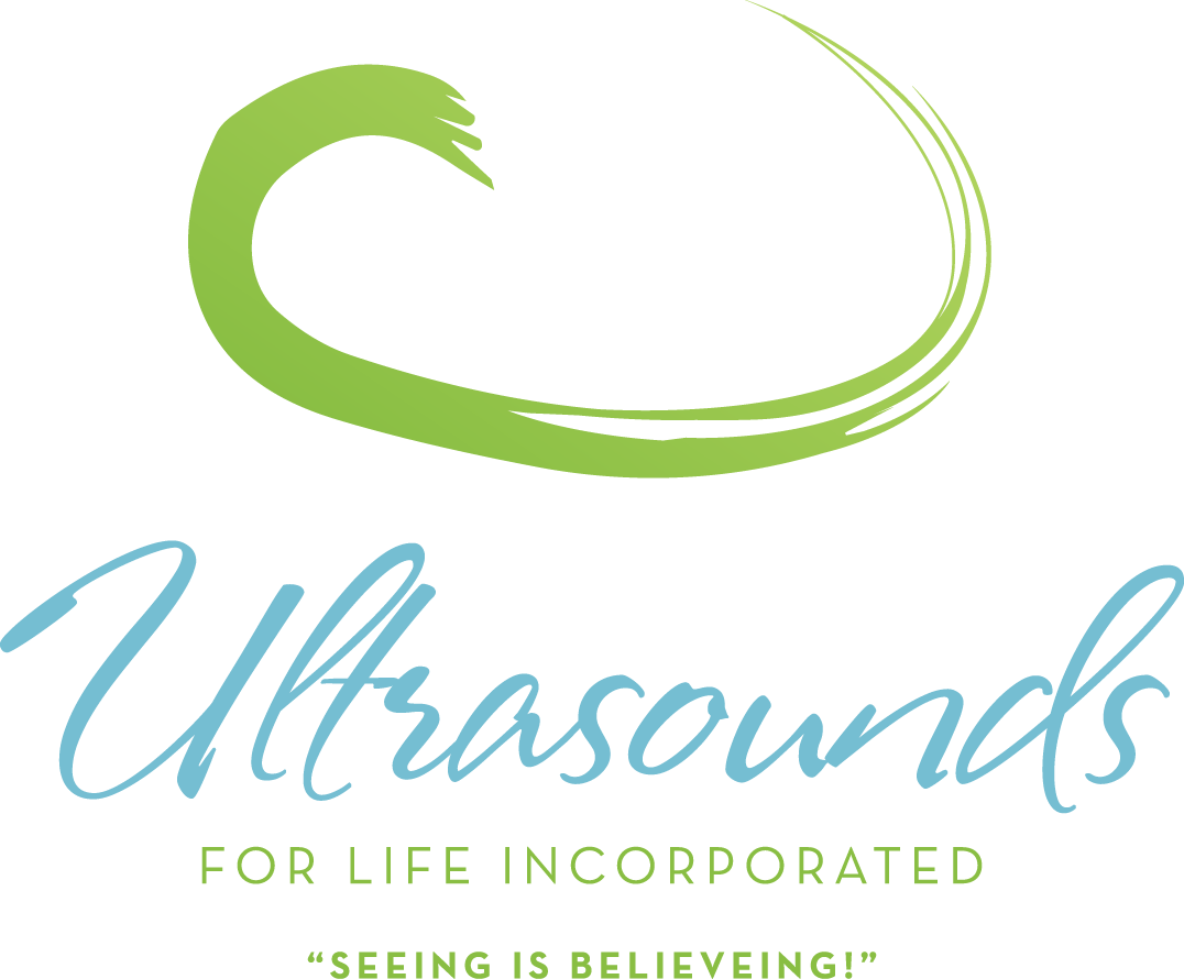 Navigation - Dog Clipart (1076x890), Png Download