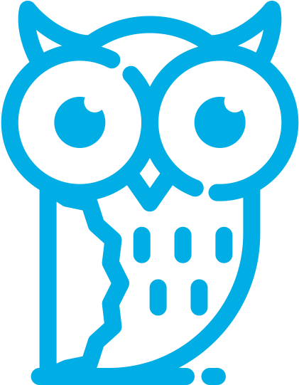 The Advanced Support Enables Access To Some Of The - Wise Icon Clipart (600x600), Png Download