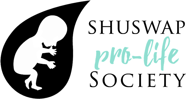 Shuswap Pro-life Society - Christmas Pregnant Maternity T-shirt Xmas Baby Funny Clipart (837x454), Png Download