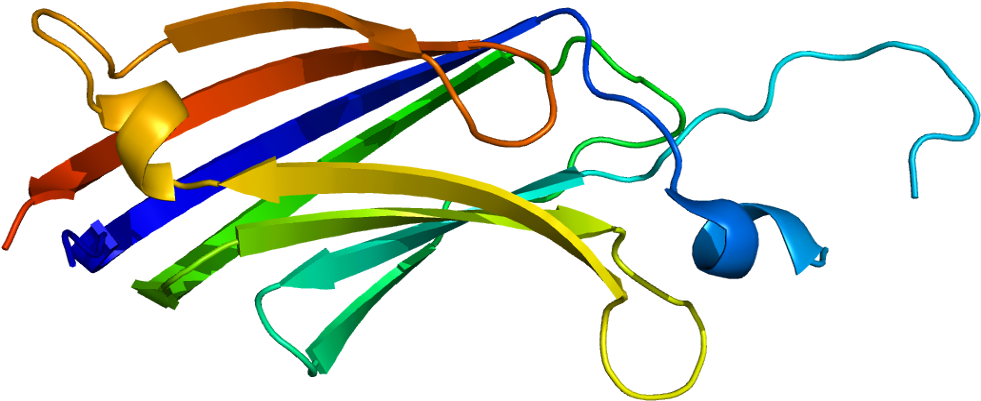 Stem Cell Clipart (1030x450), Png Download