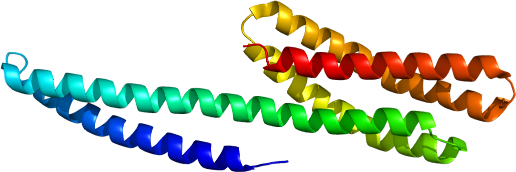 Catenin Alpha-1 Clipart (1080x393), Png Download