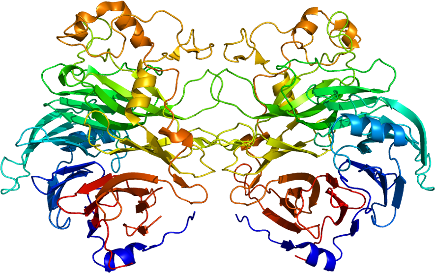 Semaphorin 3a Structure Clipart (934x605), Png Download