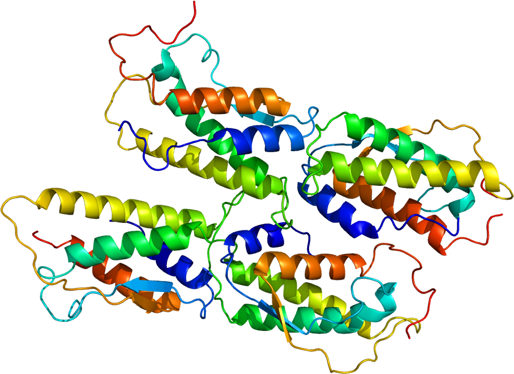 Grow Factor In Biology Clipart (1090x806), Png Download