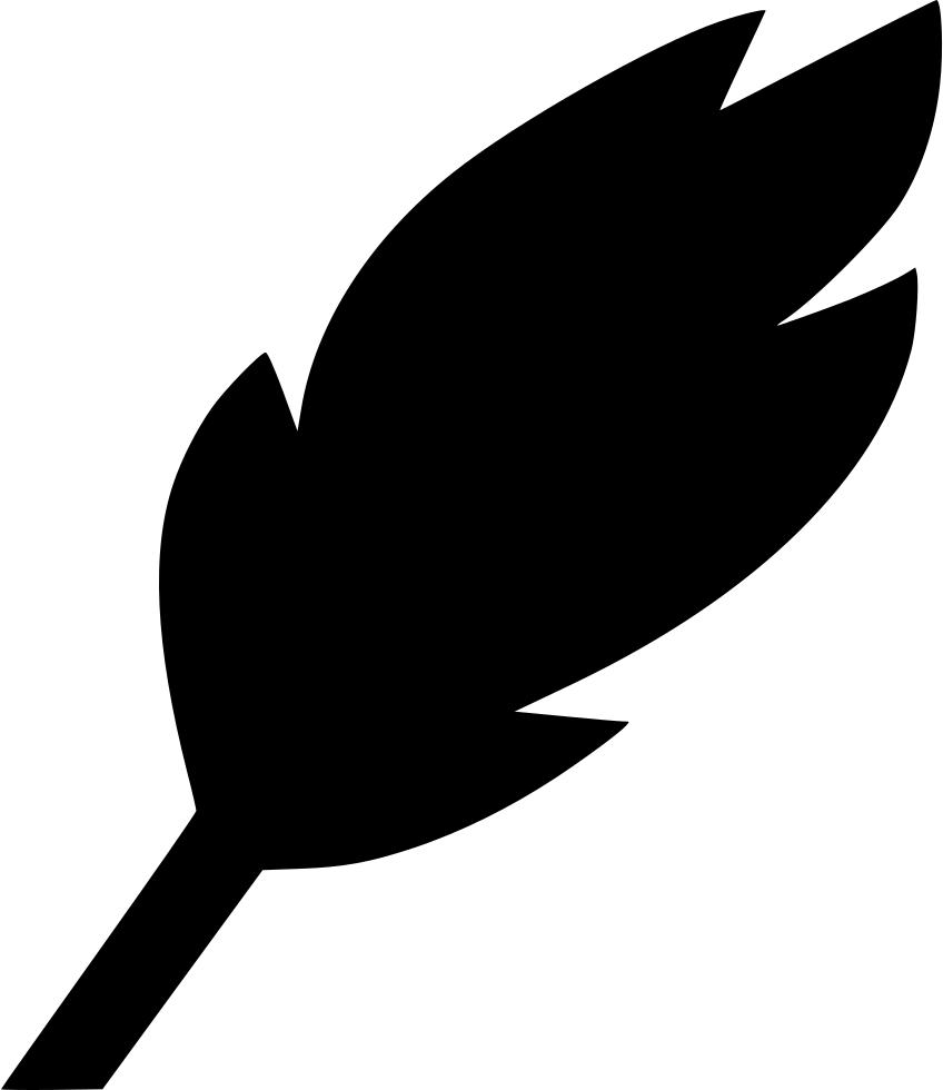 Feather Write Edit Draw Instrument Comments - Drawing Clipart (848x980), Png Download