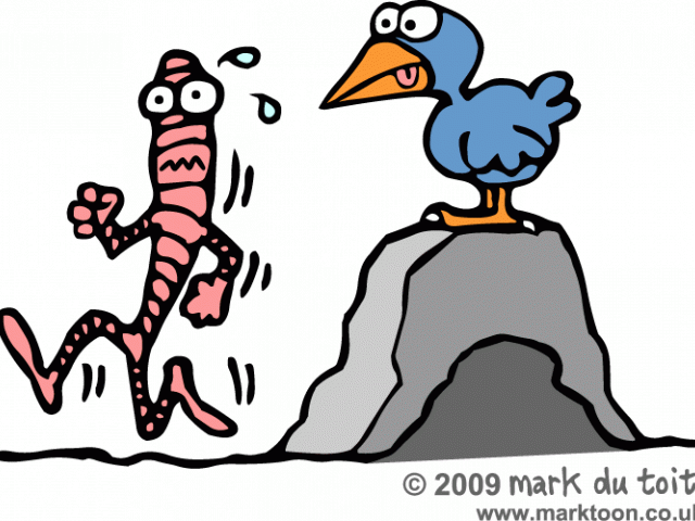 Worms Clipart Bird - Early Bird Gets Worm Gif - Png Download (640x480), Png Download