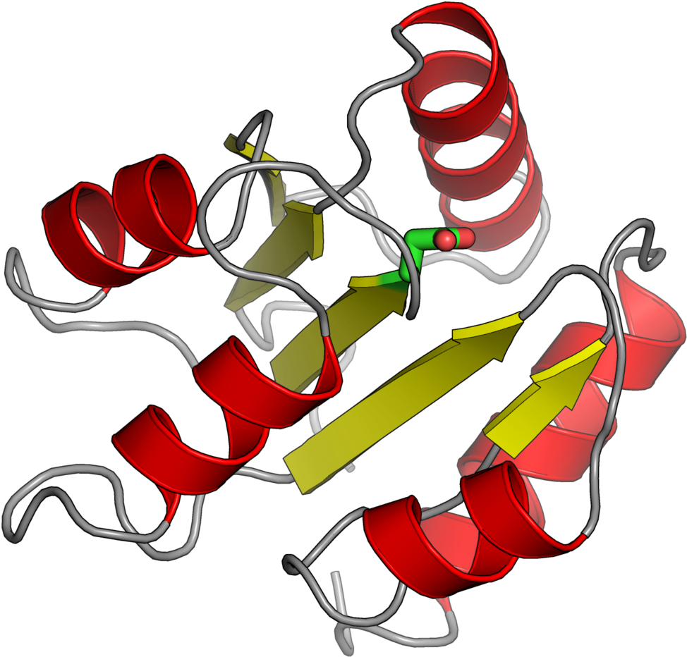 Response Regulator Clipart (1200x1067), Png Download