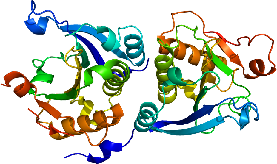 Eif4e Protein Clipart (977x600), Png Download