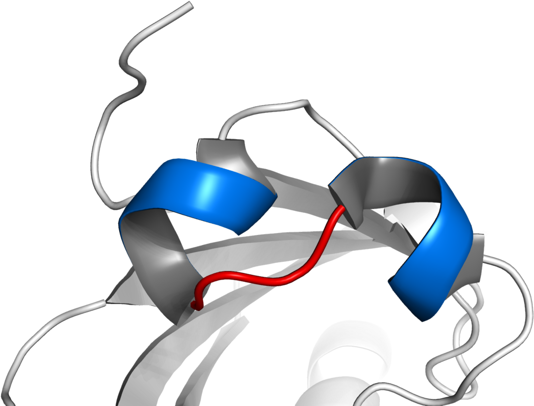 Hélice Volta Hélice Clipart (1200x878), Png Download